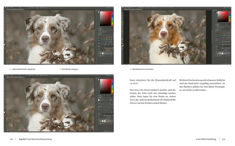 Produktbild: Hunde fotografieren - Kreative Bilder mit "Wau-Effekt"