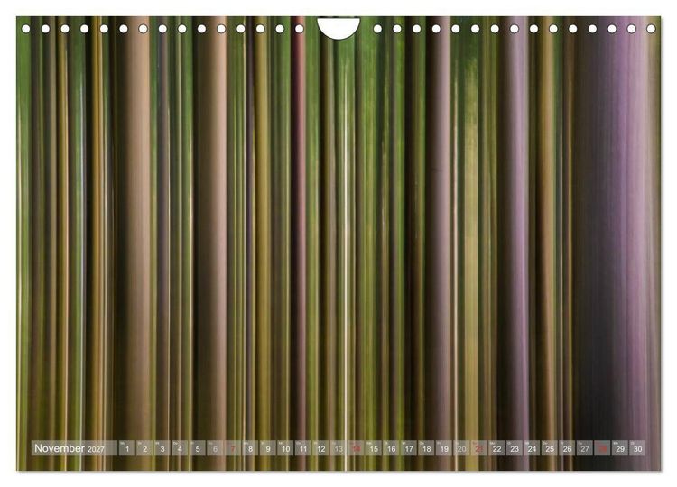 Produktbild: Atelier Wald - gemalt mit Licht (Wandkalender 2027 DIN A4 quer), CALVENDO Monatskalender