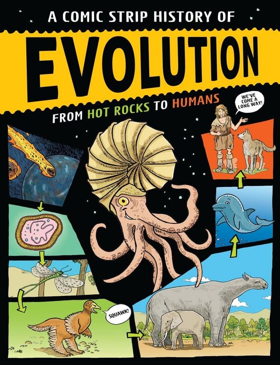 Produktbild: A Comic Strip History of Evolution