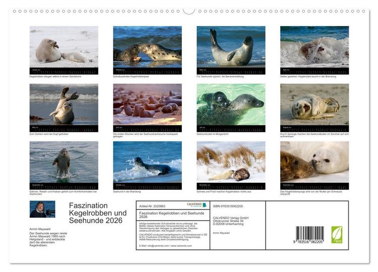 Produktbild: Faszination Kegelrobben und Seehunde 2026 (hochwertiger Premium Wandkalender 2026 DIN A2 quer), Kunstdruck in Hochglanz