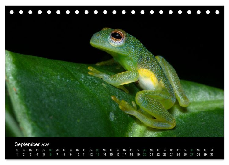 Produktbild: Costa Rica - Faszination Fr&ouml;sche (Tischkalender 2026 DIN A5 quer), CALVENDO Monatskalender
