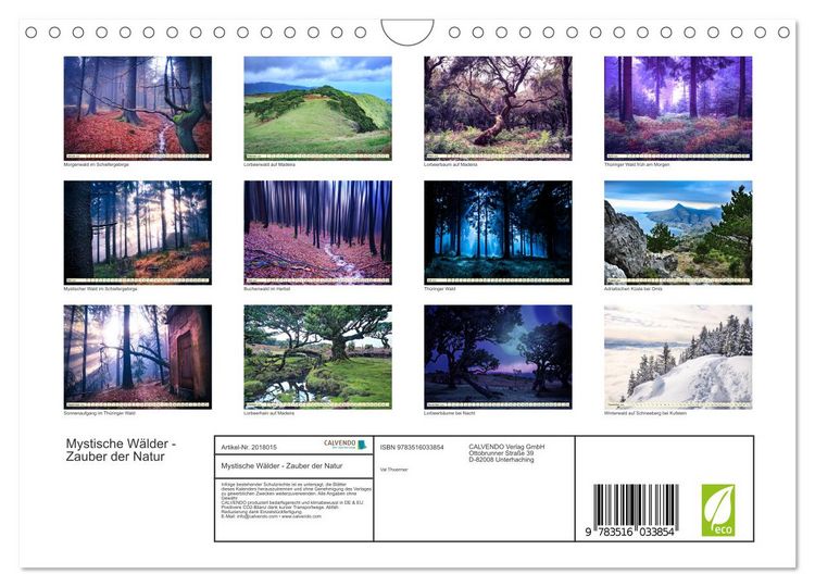 Produktbild: Mystische W&auml;lder - Zauber der Natur (Wandkalender 2026 DIN A4 quer), CALVENDO Monatskalender