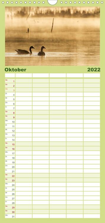 Produktbild: KANADA-GANS - Der 'hupende' Vogel - Familienplaner hoch (Wandkalender 2022 , 21 cm x 45 cm, hoch)