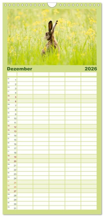Produktbild: Familienplaner 2026 - Feldhasen unterwegs in Wald und Flur mit 5 Spalten (Wandkalender, 21 x 45 cm) CALVENDO