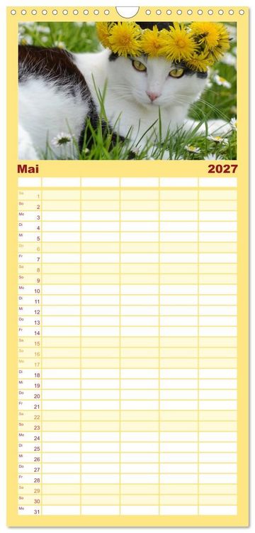 Produktbild: Familienplaner 2027 - Die Launen der Katzen 2027 mit 5 Spalten (Wandkalender, 21 x 45 cm) CALVENDO