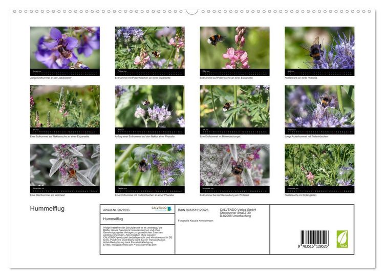 Produktbild: Hummelflug (hochwertiger Premium Wandkalender 2026 DIN A2 quer), Kunstdruck in Hochglanz
