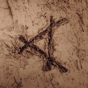Produktbild: Tracked In Mud