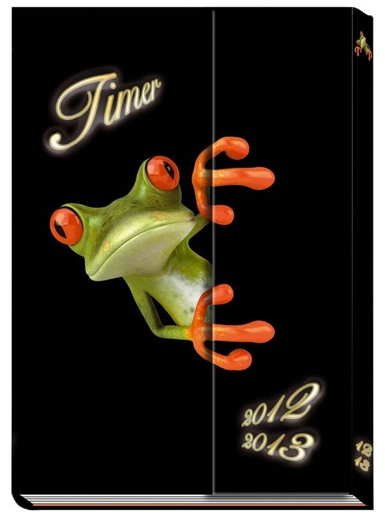 Produktbild: Sch&uuml;lerkalender mit Klappe Frog 2012/2013