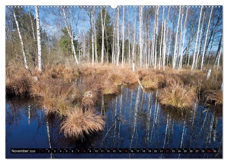 Produktbild: T&ouml;lzer Land und Blaues Land: Seelenlandschaften (Wandkalender 2026 DIN A2 quer), CALVENDO Monatskalender