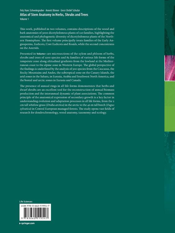 Produktbild: Atlas of Stem Anatomy in Herbs, Shrubs and Trees