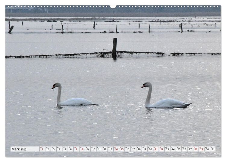 Produktbild: Hochwasser als Teil der Umwelt (Wandkalender 2026 DIN A2 quer), CALVENDO Monatskalender