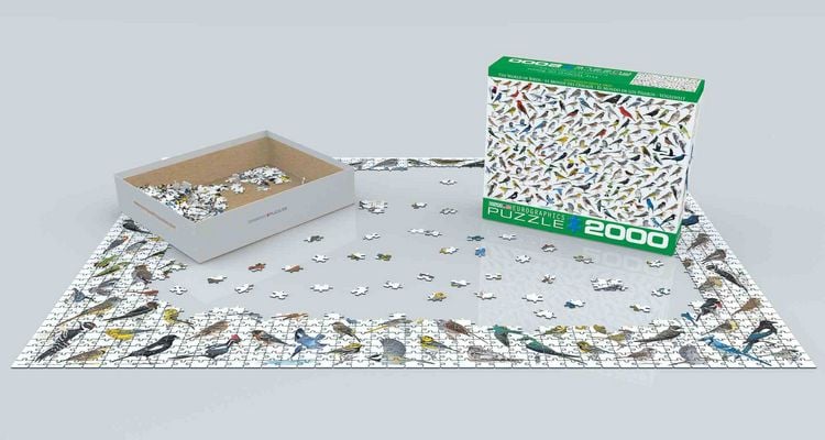 Produktbild: Puzzle 2000 Teile - The World of Birds