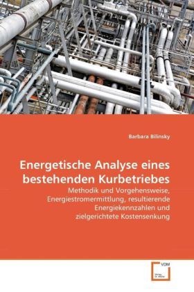 Produktbild: Bilinsky, B: Energetische Analyse eines bestehenden Kurbetri