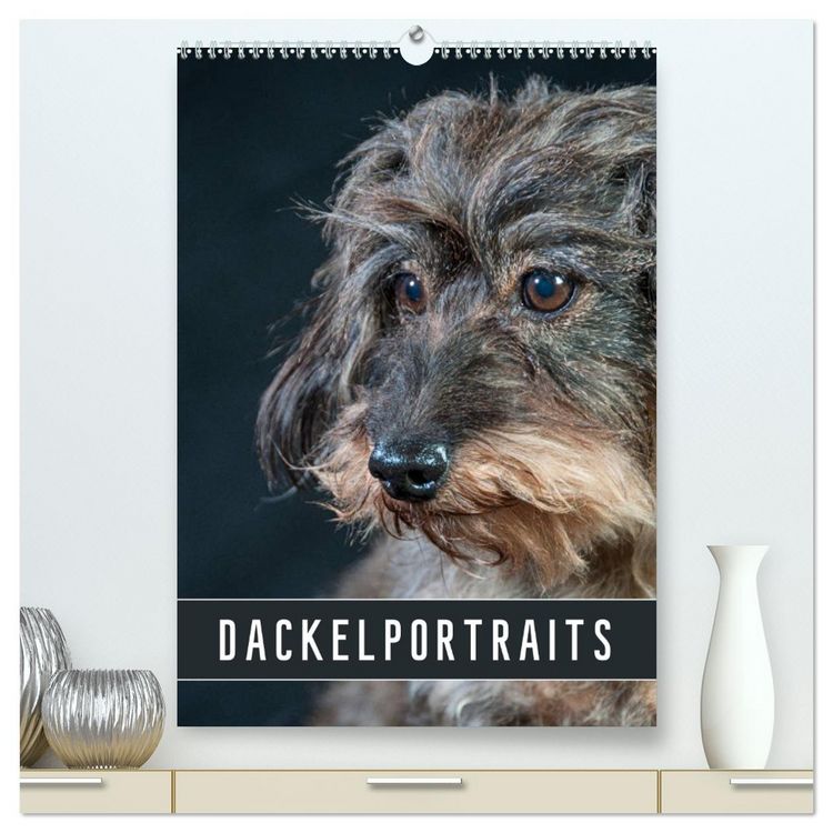 Produktbild: Dackelportraits (hochwertiger Premium Wandkalender 2026 DIN A2 hoch), Kunstdruck in Hochglanz