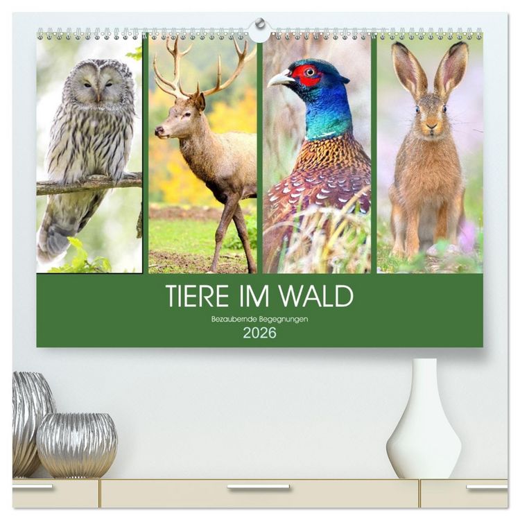 Produktbild: Tiere im Wald. Bezaubernde Begegnungen (hochwertiger Premium Wandkalender 2026 DIN A2 quer), Kunstdruck in Hochglanz