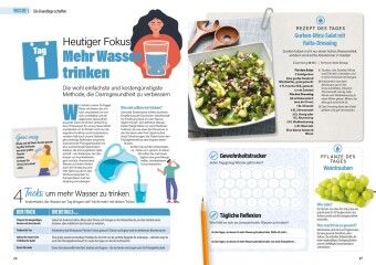 Produktbild: Darm Gesundheit in 30 Tagen
