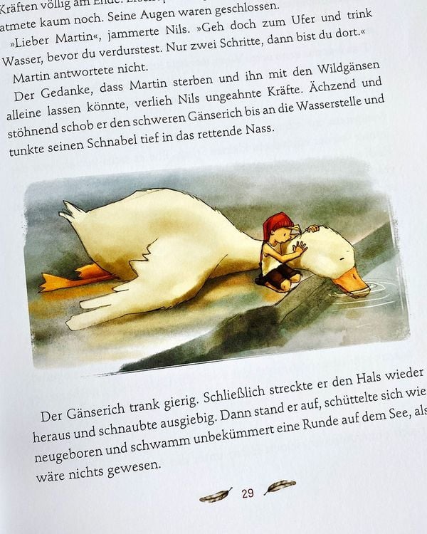 Produktbild: Klassiker zum Vorlesen. Nils Holgersson