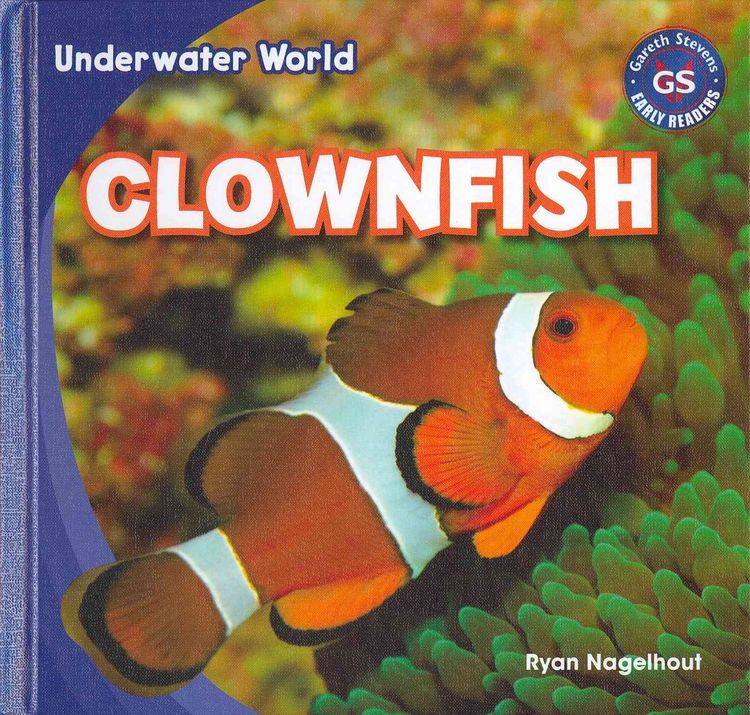 Produktbild: Clownfish