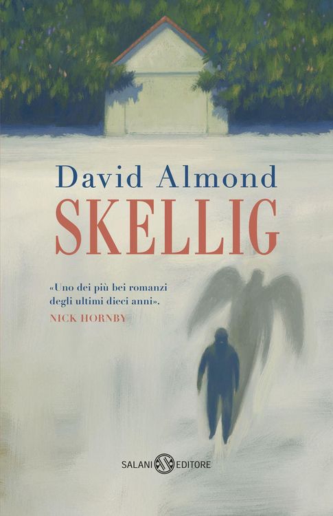 Produktbild: Skellig
