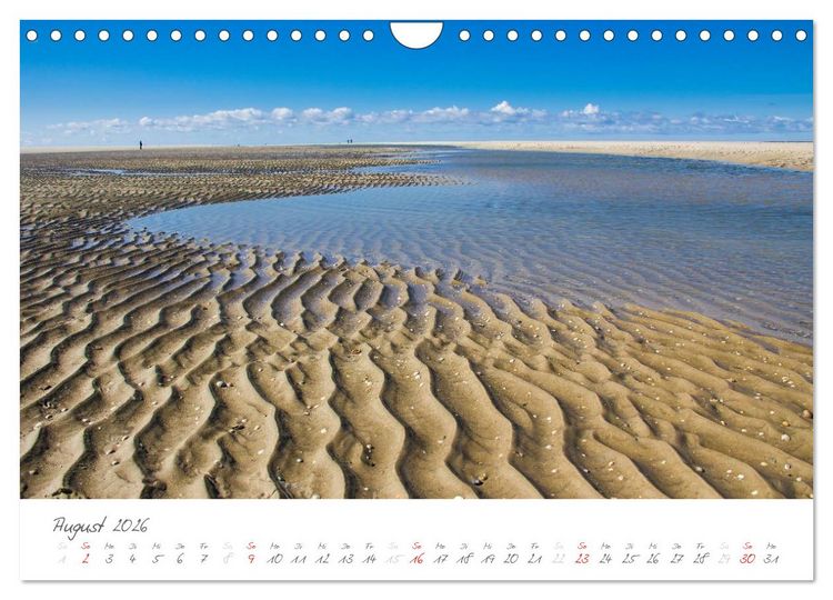 Produktbild: Amrum - Eine farbenfrohe Insellandschaft (Wandkalender 2026 DIN A4 quer), CALVENDO Monatskalender