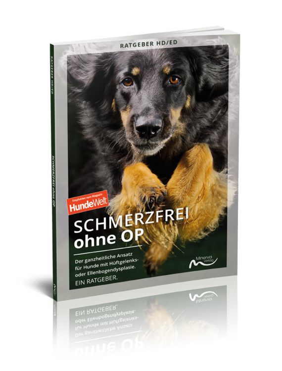 Produktbild: Schmerzfrei ohne OP