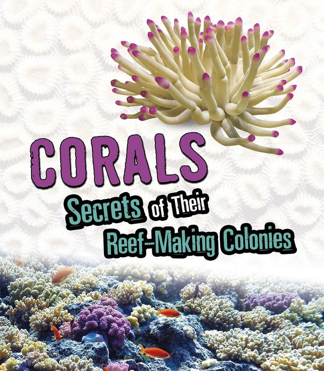 Produktbild: Corals