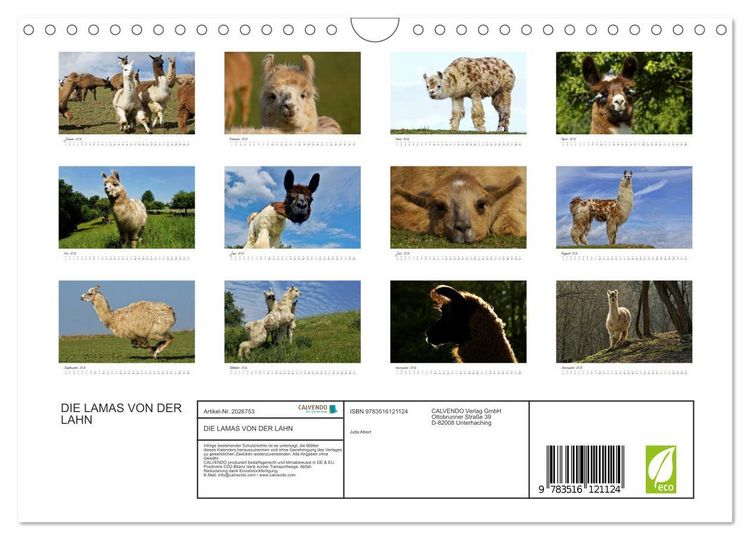 Produktbild: DIE LAMAS VON DER LAHN (Wandkalender 2026 DIN A4 quer), CALVENDO Monatskalender