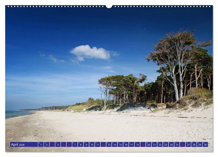 Produktbild: Weststrand Dar&szlig; (hochwertiger Premium Wandkalender 2026 DIN A2 quer), Kunstdruck in Hochglanz
