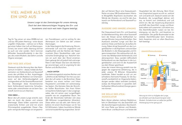 Produktbild: Die Bewegungs-Docs – Unser Programm für mehr Gesundheit und Leichtigkeit
