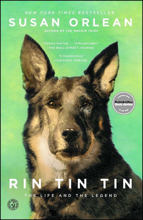 Produktbild: Rin Tin Tin