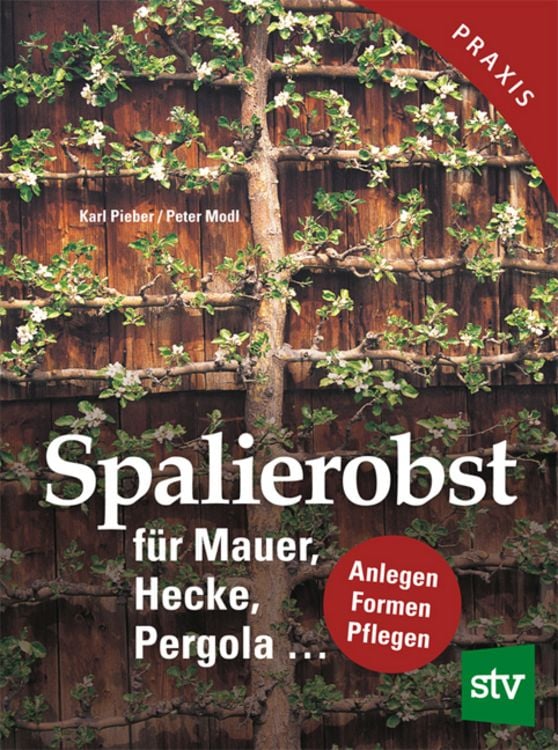 Bild vom Artikel Spalierobst für Mauer, Hecke, Pergola... vom Autor Karl Pieber