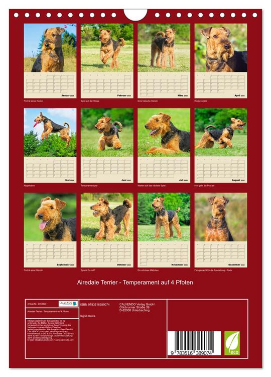 Produktbild: Airedale Terrier - Temperament auf 4 Pfoten (Wandkalender 2026 DIN A4 hoch), CALVENDO Monatskalender