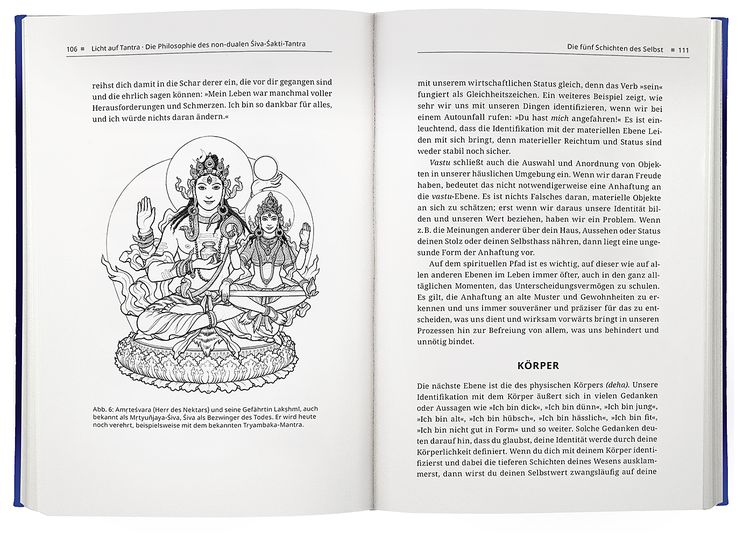 Produktbild: Licht auf Tantra