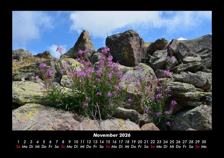 Produktbild: Blumentr&auml;ume 2026 Fotokalender DIN A3