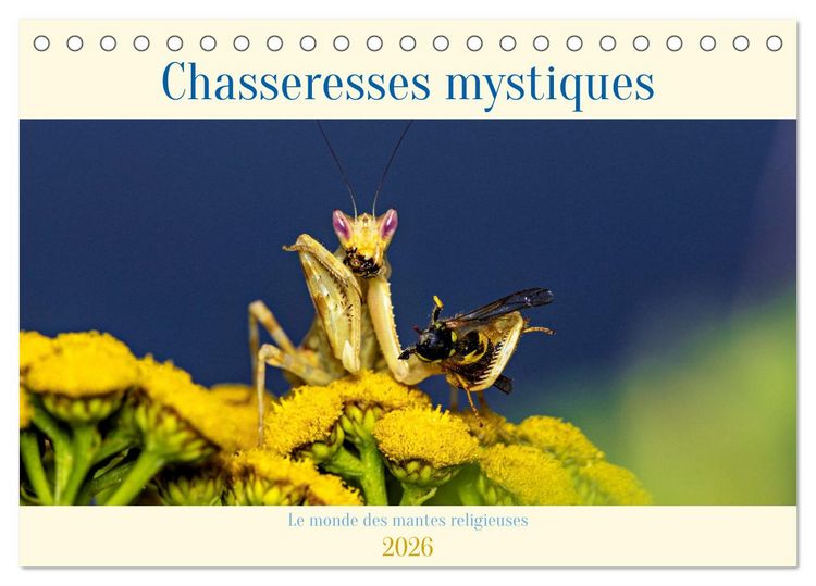 Produktbild: Chasseresses mystiques (Calendrier de bureau 2026 DIN A5 vertical), CALVENDO calendrier mensuel