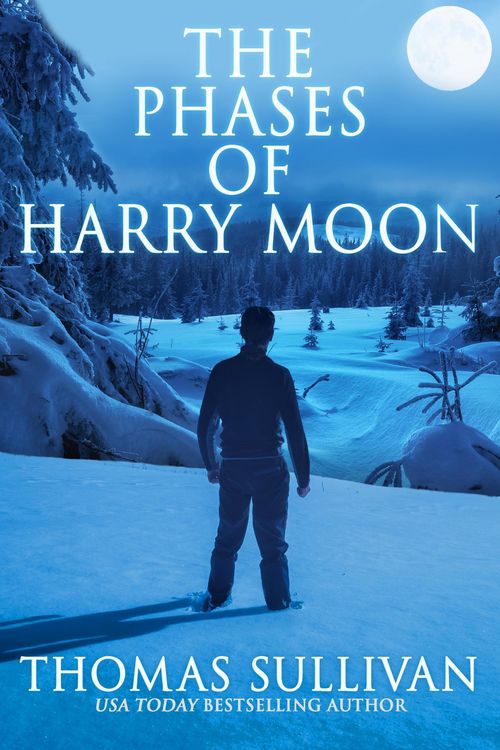 Produktbild: The Phases of Harry Moon