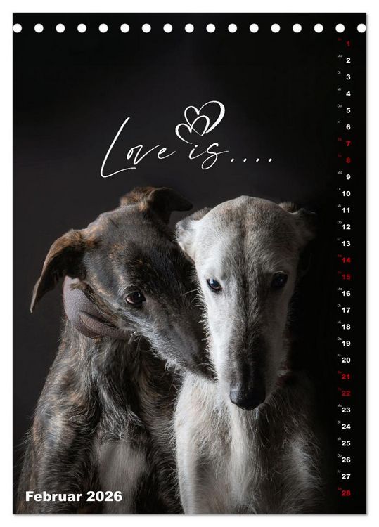 Produktbild: dogmuse deluxe (Tischkalender 2026 DIN A5 hoch), CALVENDO Monatskalender