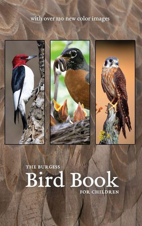 Produktbild: The Burgess Bird Book with new color images