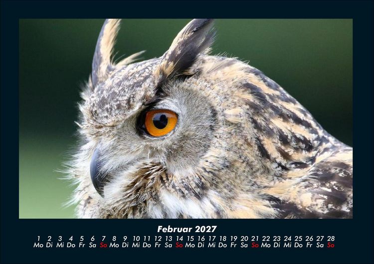 Produktbild: Welt der V&ouml;gel 2027 Fotokalender DIN A4