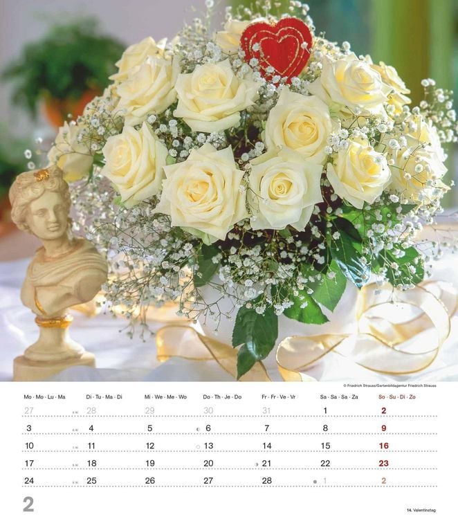 Produktbild: Alpha Edition - Der Duft der Rosen 2025 Bildkalender, 30,x34cm, Kalender mit sch&ouml;nen Bildmotiven f&uuml;r jeden Monat, Monats&uuml;bersicht, Feiertage DE/AT/CH und internationales Kalendarium