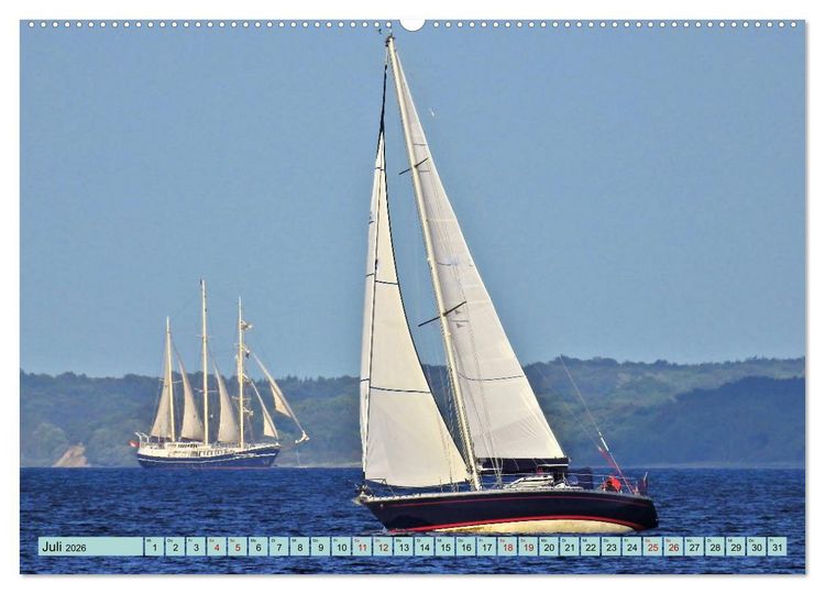 Produktbild: Eckernf&ouml;rde. Eichh&ouml;rnchen im Wappen - das Meer vor der T&uuml;r (Wandkalender 2026 DIN A2 quer), CALVENDO Monatskalender