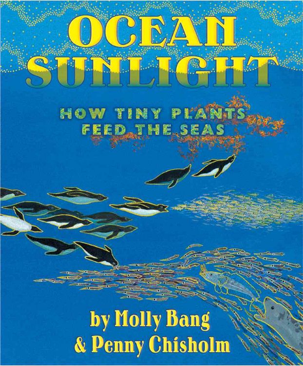 Produktbild: Ocean Sunlight: How Tiny Plants Feed the Seas