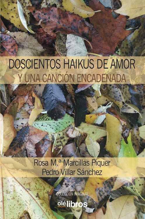 Produktbild: Doscientos haikus de amor y una canci&oacute;n encadenada