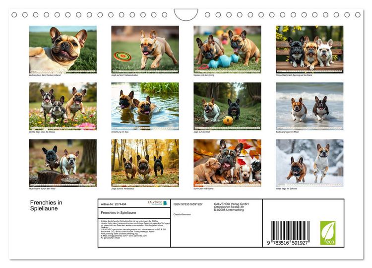 Produktbild: Frenchies in Spiellaune (Wandkalender 2026 DIN A4 quer), CALVENDO Monatskalender