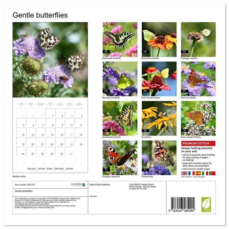 Produktbild: Gentle butterflies (Wall Calendar 2026 12 &times; 12 Inch) CALVENDO 12 Month Wall Calendar