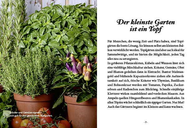 Produktbild: Das kleine Buch: Topfg&auml;rtner