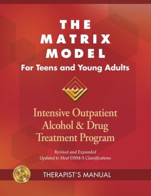Produktbild: The Matrix Model for Teens and Young Adults Three Manuals