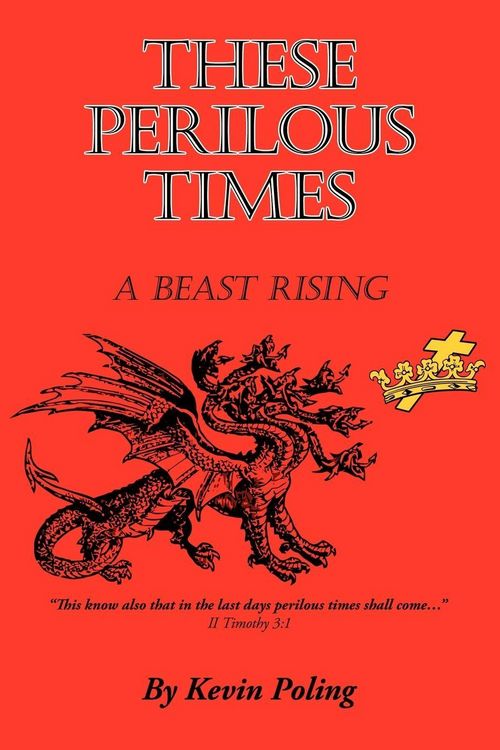 Produktbild: These Perilous Times