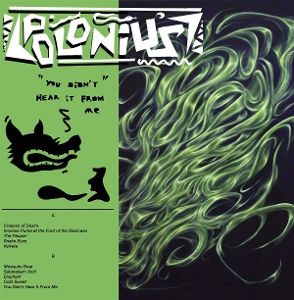Produktbild: You Didnt Hear It From Me (LP)