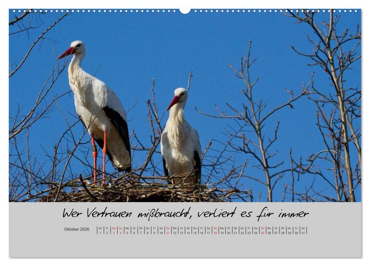 Produktbild: Kleine und gro&szlig;e Wahrheiten - Spr&uuml;che zum Nachdenken (Wandkalender 2026 DIN A2 quer), CALVENDO Monatskalender